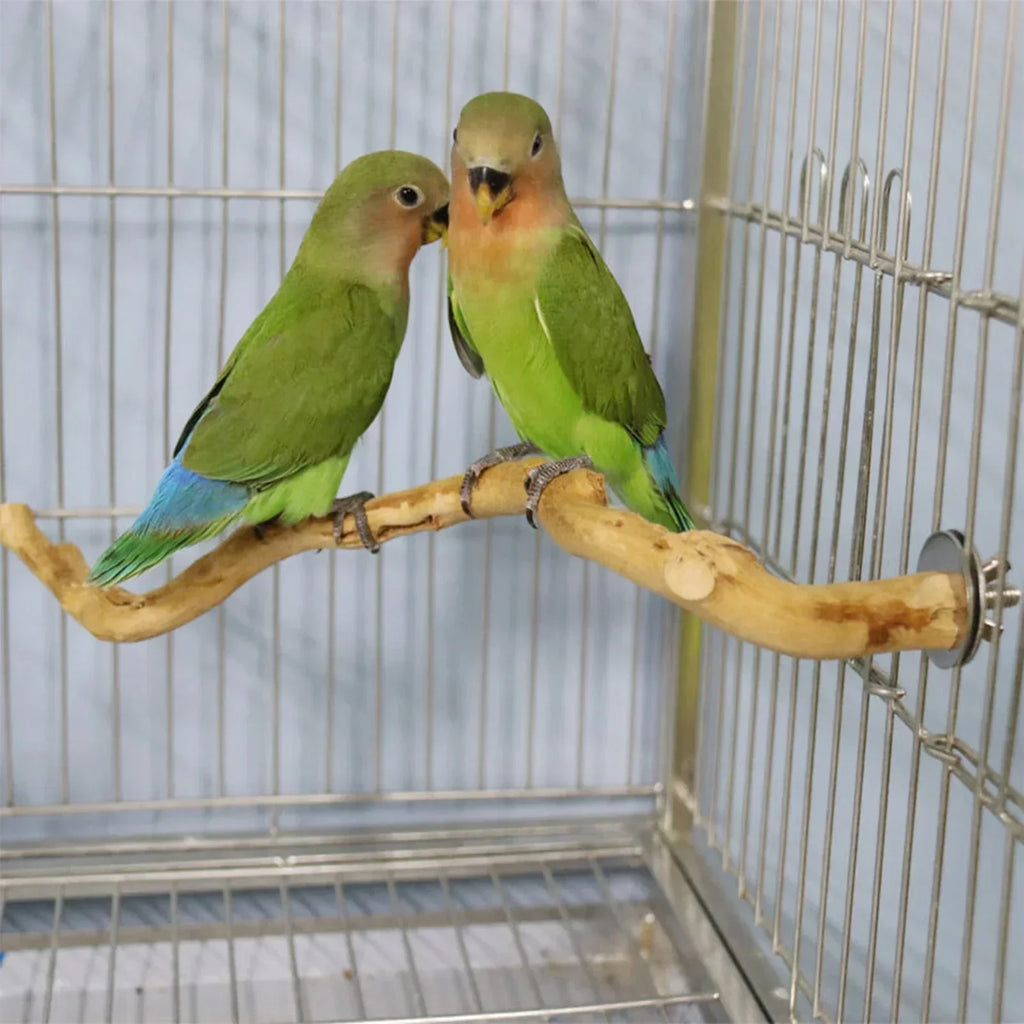 Natural Parrot Perch Bird Stand Tree Stick Paw Grinding Fork Parakeet Qme