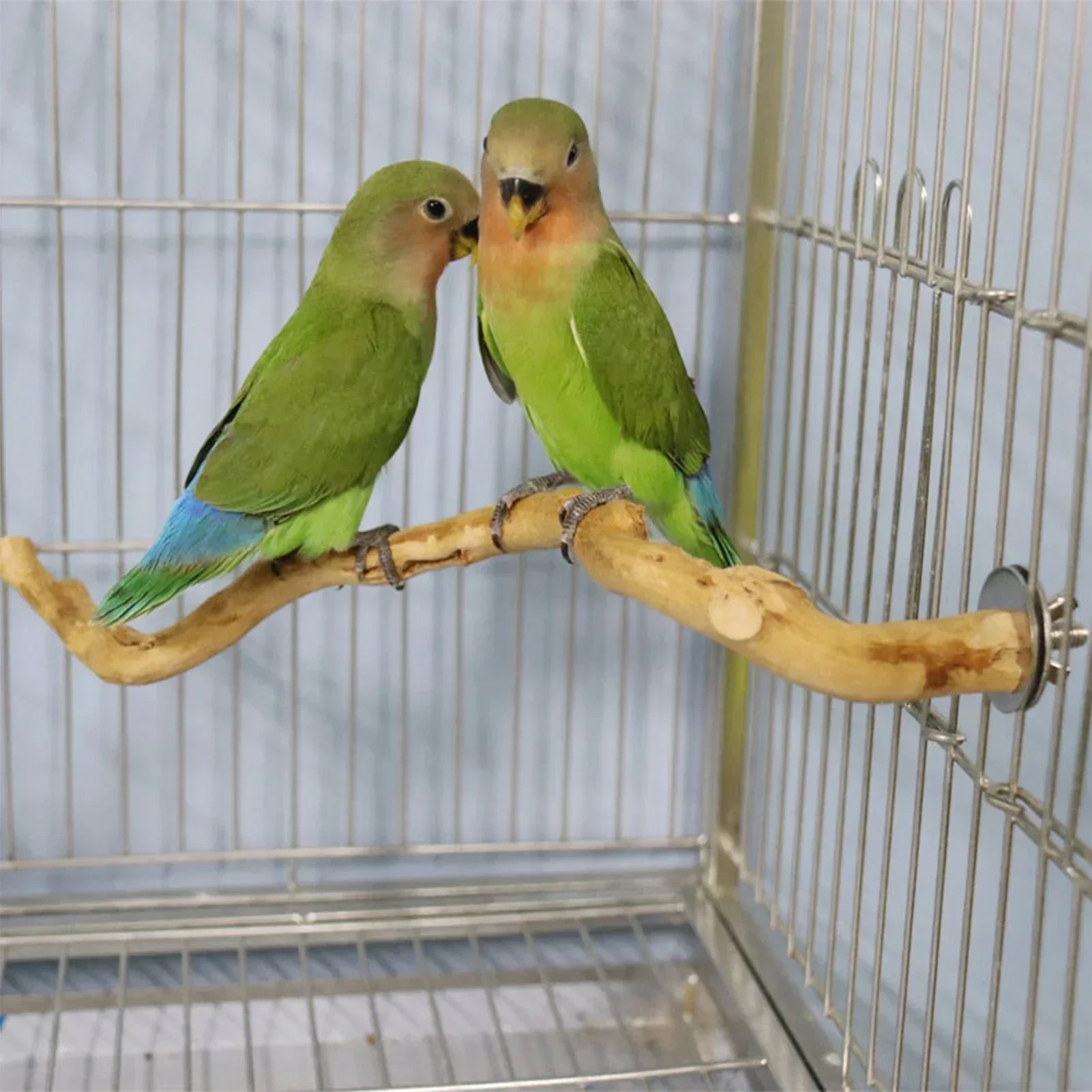 Natural Parrot Perch Bird Stand Tree Stick Paw Grinding Fork Parakeet Qme