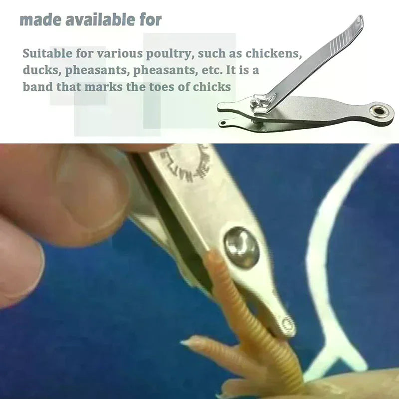 Chicken Toe Punch Permanent Identification Tool Chicks Ducklings Mice Qme