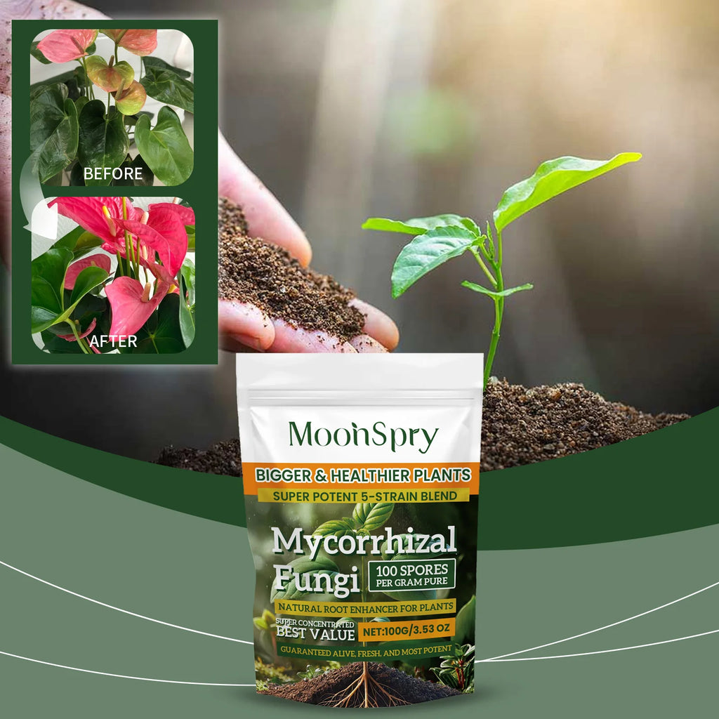 Natural Plants Root Enhancer Promote Root Development Enhance Absorption Capacity Improve Disease Resistance Plant Rooting Agent Qme