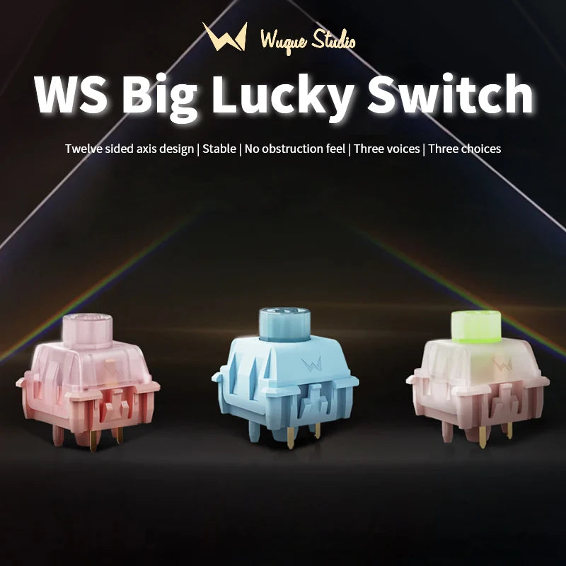 WS BigLucky Keyboard Switches, 5 Pins Pre Lubed Mechanical Switches with LED Diffuser Key Switch for MX Mechanical Keyboard Qme