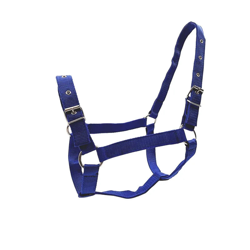 Adjustable Horse Bridle Reins Headstall Universal Fit Ponies Small Qme Blue