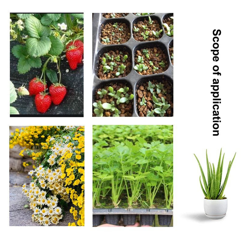 Plastic Gardening Germination Trays Black Seedling Container Garden Qme