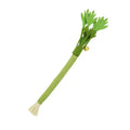Self Playing Catnip Molar Stick Toys Bite Squeaky Cat Toy Chew Teeth Qme Default Title