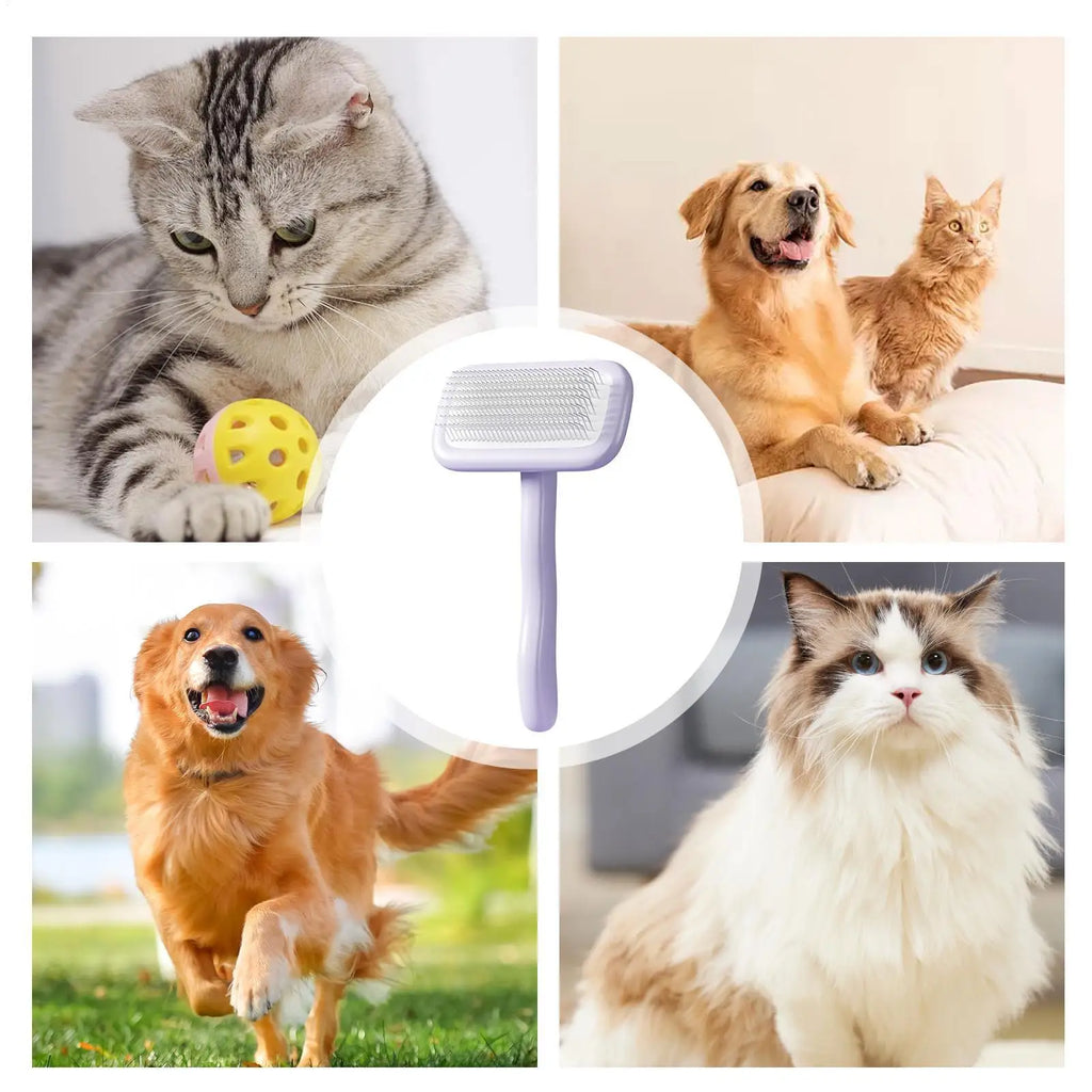 Brush Cats Shedding Pet Hair Removal Tool Brushes Indoor Remove Loose Qme