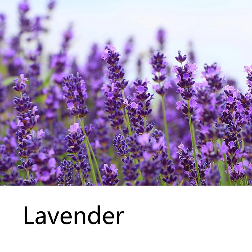 Lavender Essential Oil Shampoo Bar Plant Extract Essence Deep Qme