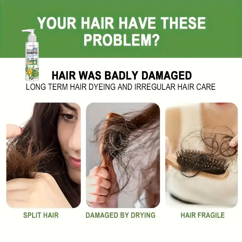 Sulfate Free Scalp Clarifying Shampoo with Tea Tree & Arnica - Cleanses & Hydrates Dry Scalp for All Hair Types Qme