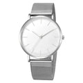 Geneva new men's watch ultra-thin and simple mesh strap watch men's watch foreign trade hot selling men's watch Qme 5
