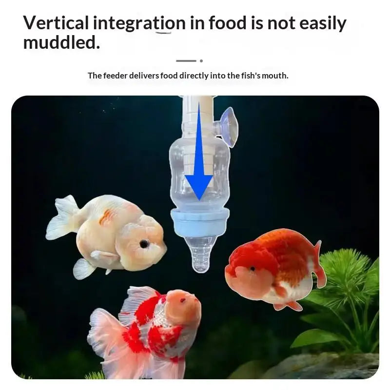 No Turbid Water Fish Feeder Small Tank Precise Pacifier Fixed Point Qme