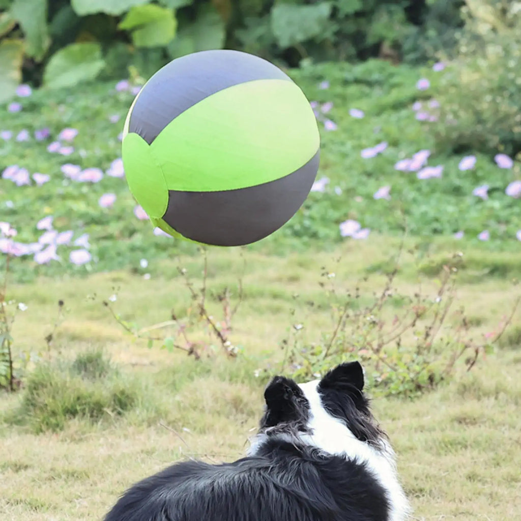 Herding Ball for Dogs Inflatable Puppy Playing Giant Dog Ball Toy for Pet Parents Animal Lovers Trainers Backyard Lawn Garden Qme