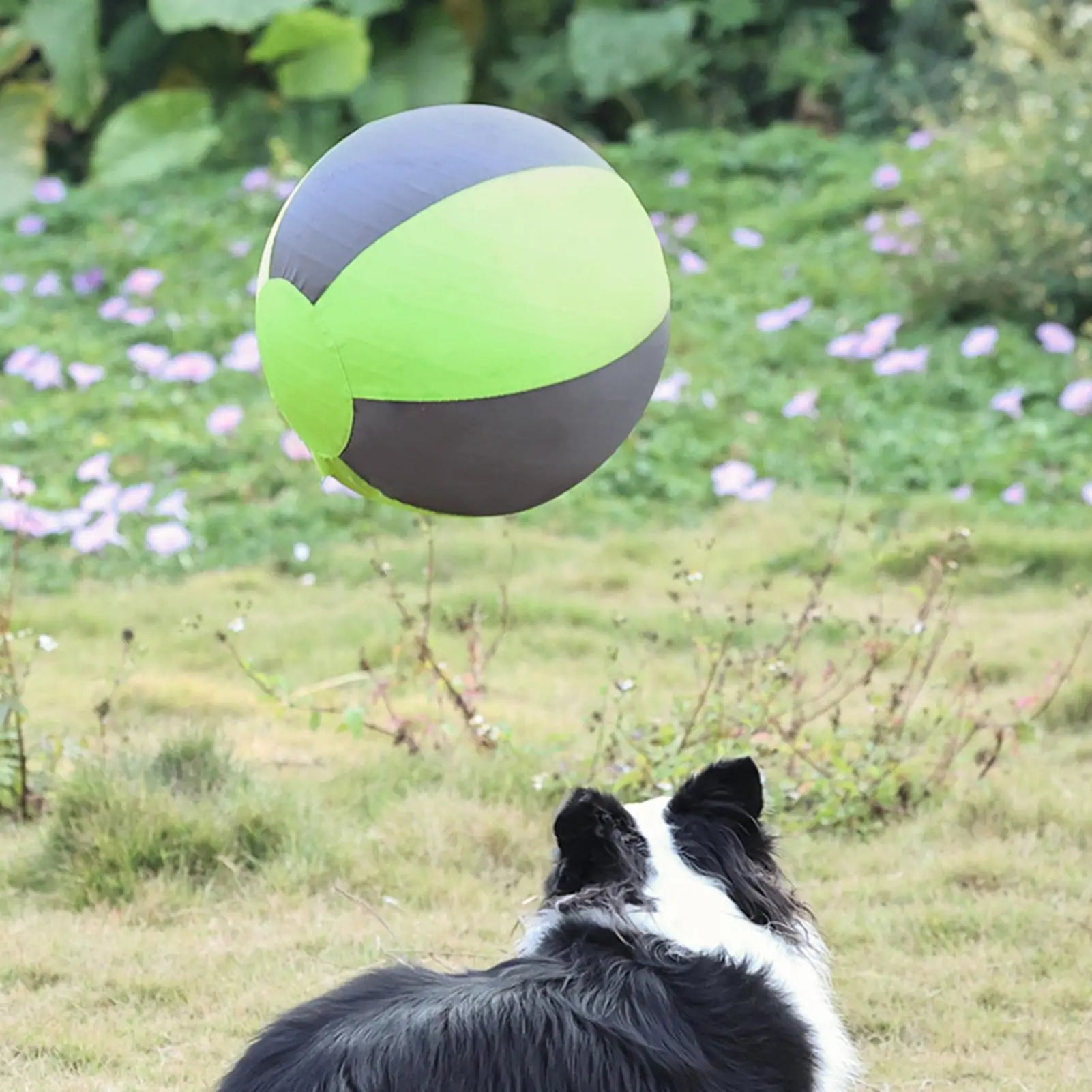 Herding Ball for Dogs Inflatable Puppy Playing Giant Dog Ball Toy for Pet Parents Animal Lovers Trainers Backyard Lawn Garden Qme