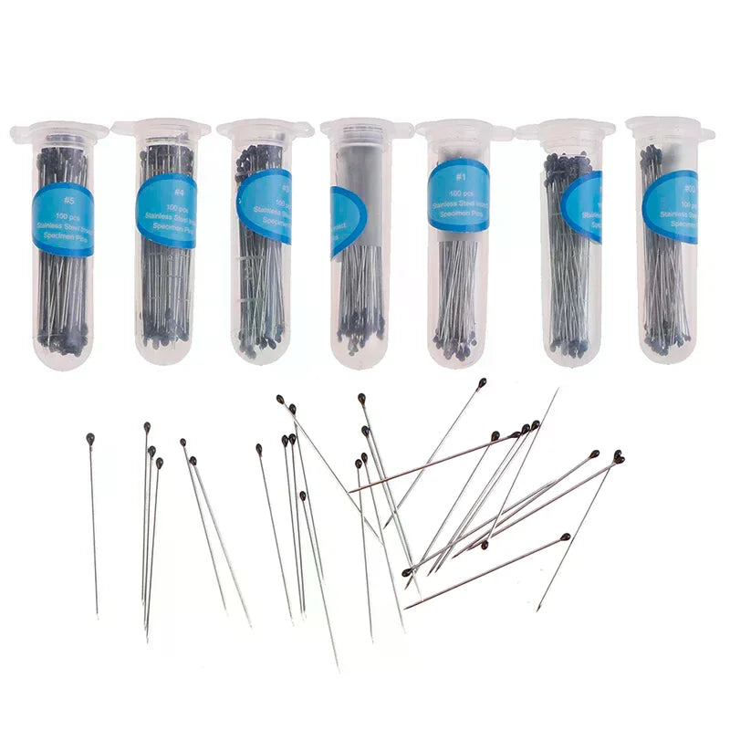 100pcs Stainless Steel Insect Pins Specimen Pins For School Lab Education Wholesale Qme
