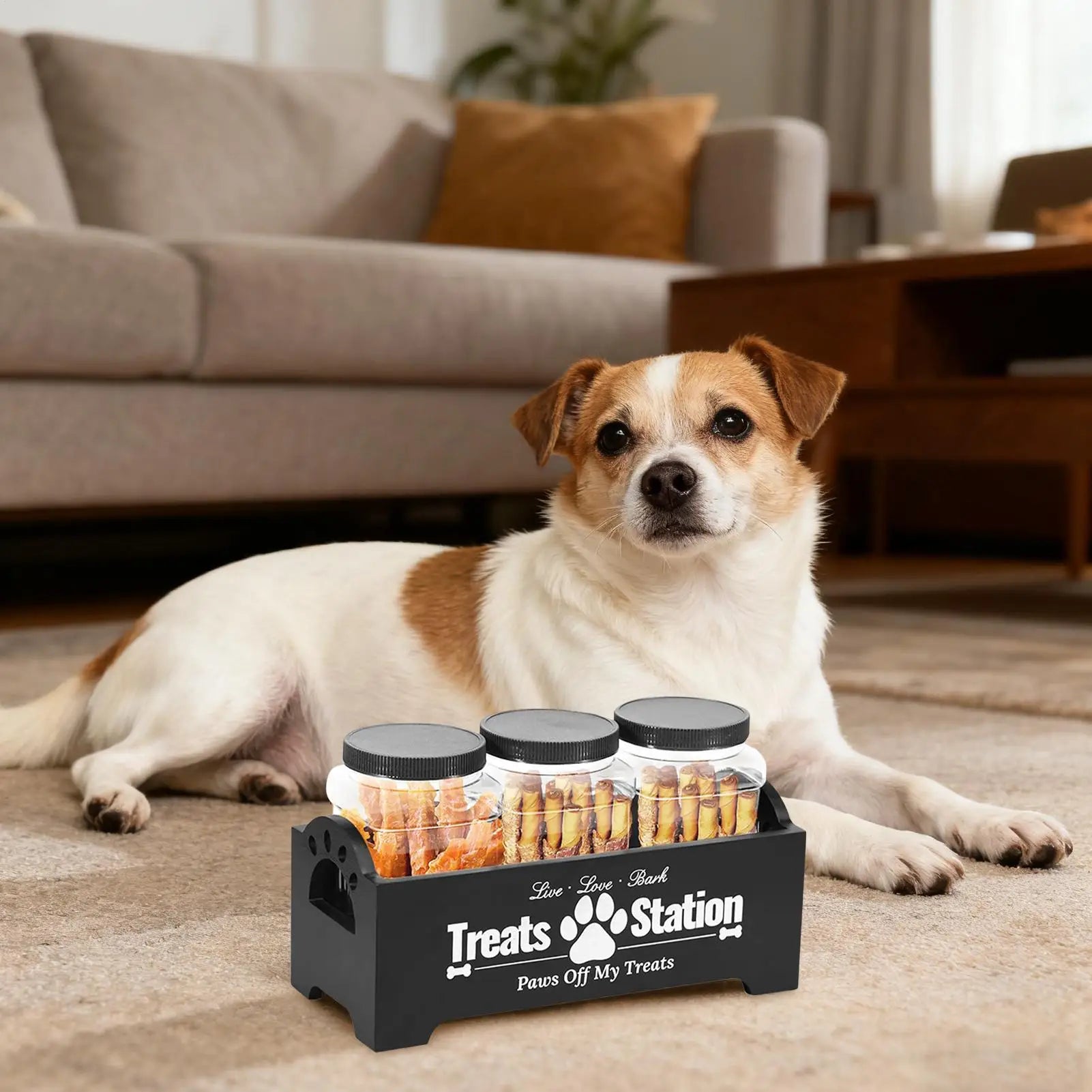 Dog Supports Container Airtight 3-Piece Box Storage Organizer Pet Cat Qme