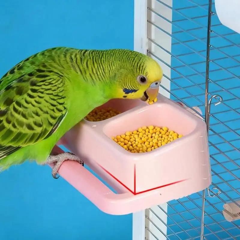 Feeding Water Bowl Pet Supplies Accessories Parrot Double Large Qme