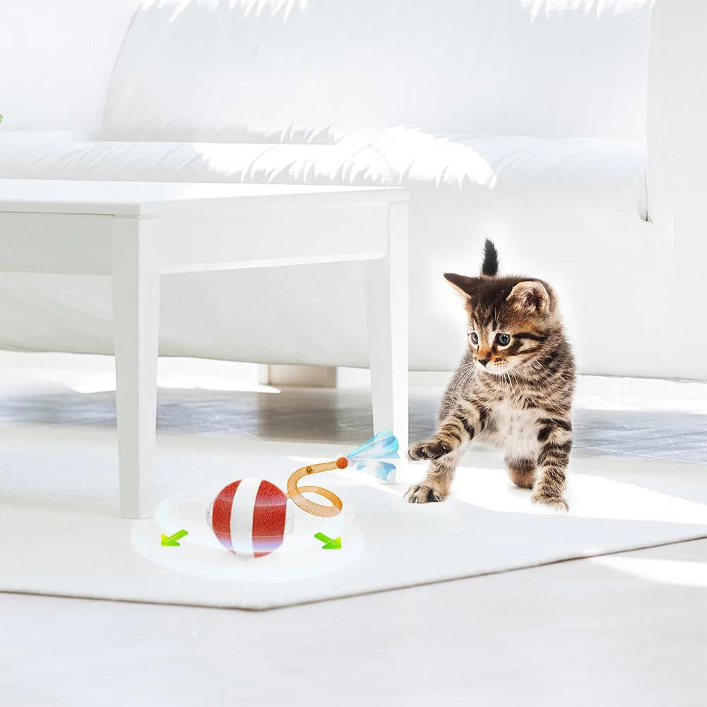 Interactive Cat Plaything Ball Motion Activated Electric Cat Rechargeable for Bored Indoor Adult Cat Pet Supplies Qme