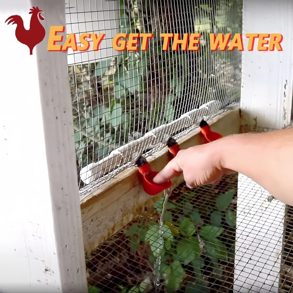 Automatic Chicken Water dispenser Plastic poultry drinking bowl Straight Pipe Farm chicken Coop Automatic Drinking Water System Qme