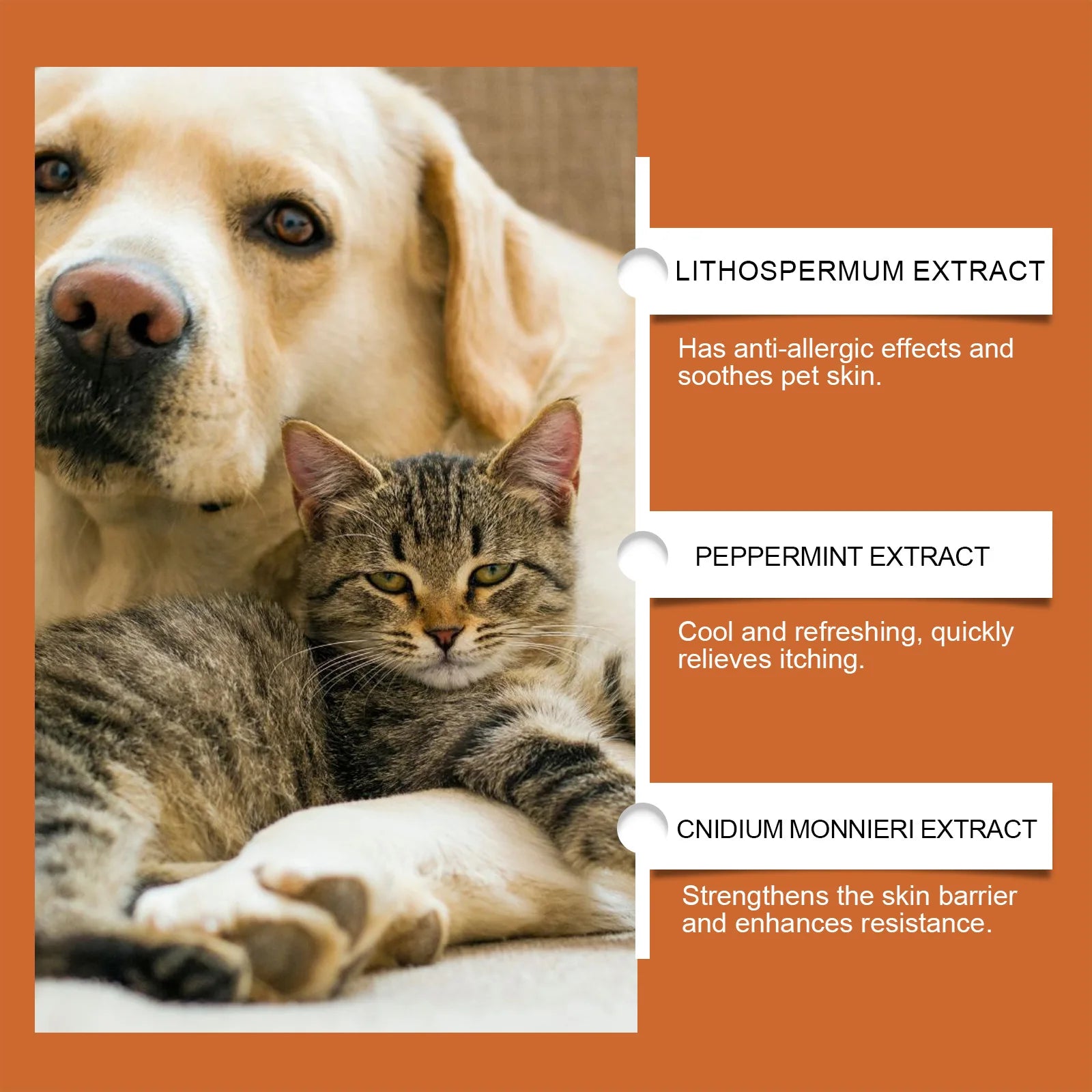 Yegbong Pet Skin Care Cream Gentle Itching Relief Wart Remover Improve Ringworm Skin Treatment Catnip Hair Healthy Pets Cream Qme