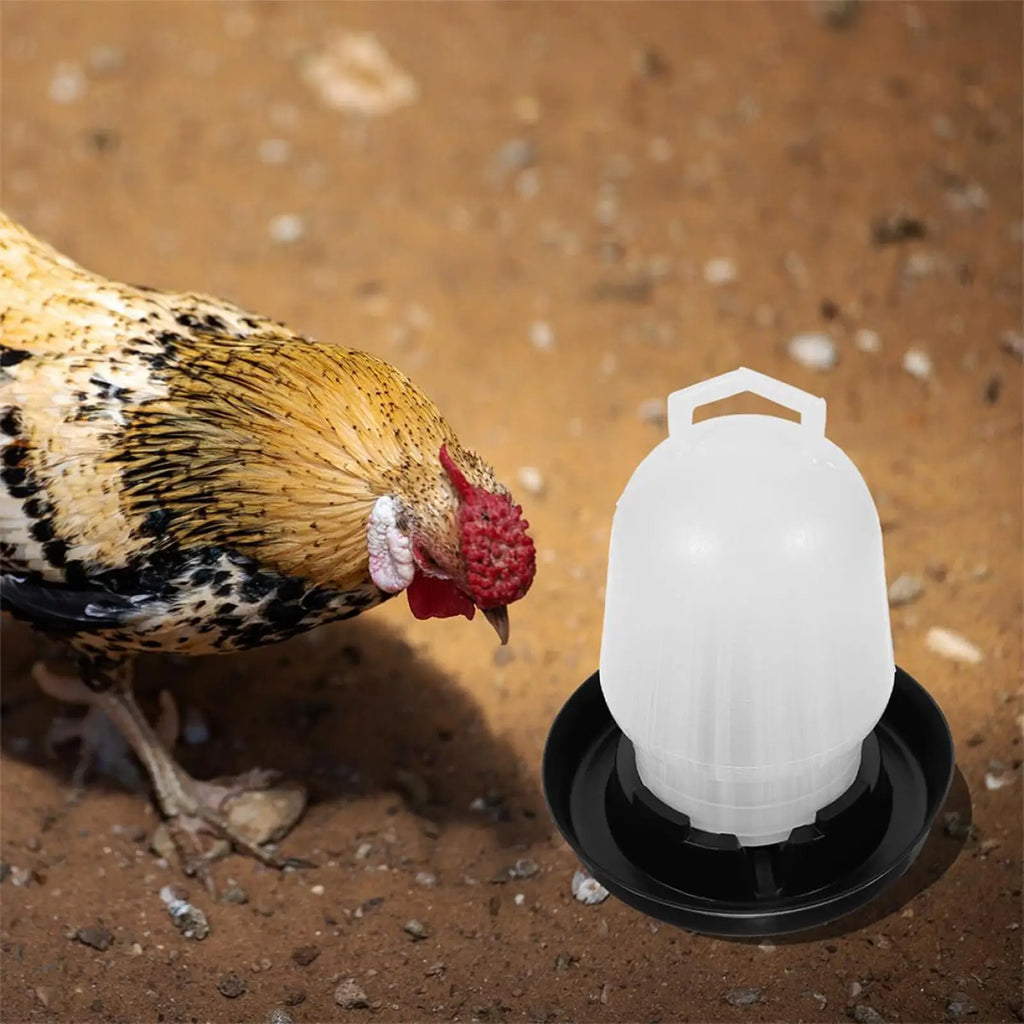 Automatic Chicken Waterer Poultry Drinker Poultry Waterer for Duck Goose Pigeon Quail Livestock Coop Farm Feeding Drinking Qme