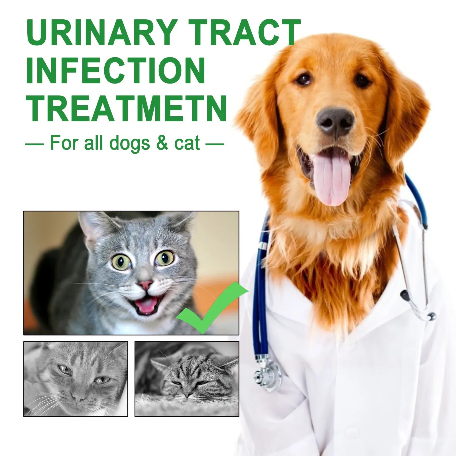 Cranberry Bladder Health Drop Dog Urinary Tract Infection Supplement Bladder Stone Remover Promote Kidney Health Pet Health Care Qme