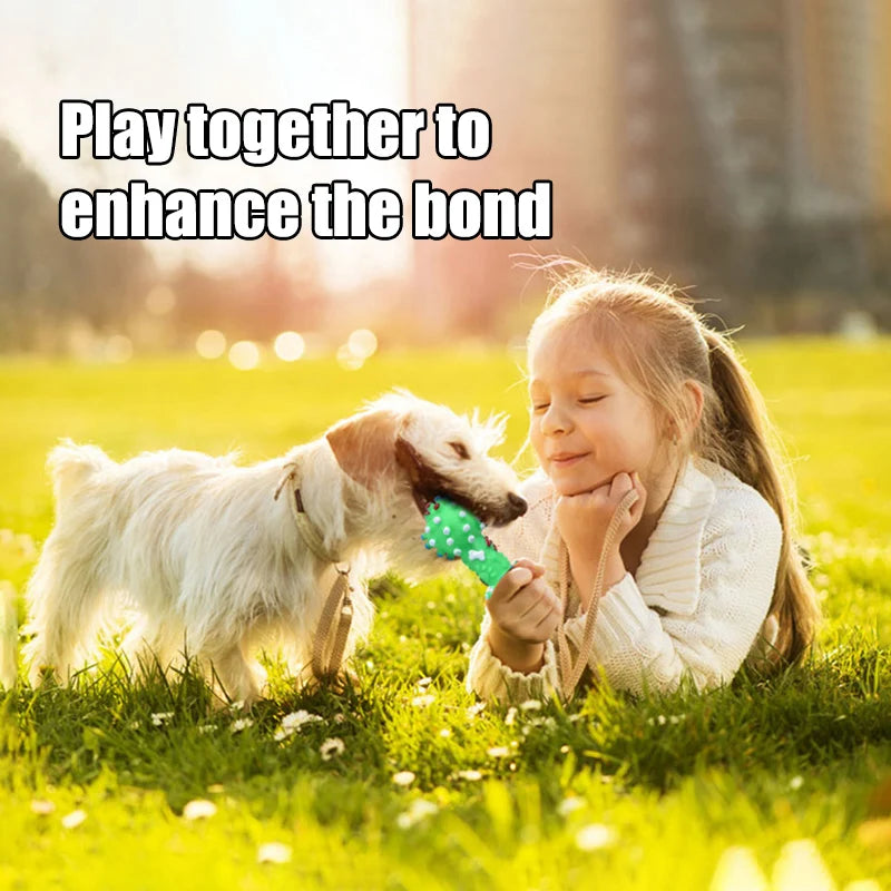 Dog Chew Toy Natural Rubber Safety and Environmental Protection Flexible Bite Resistance Clean Teeth Qme