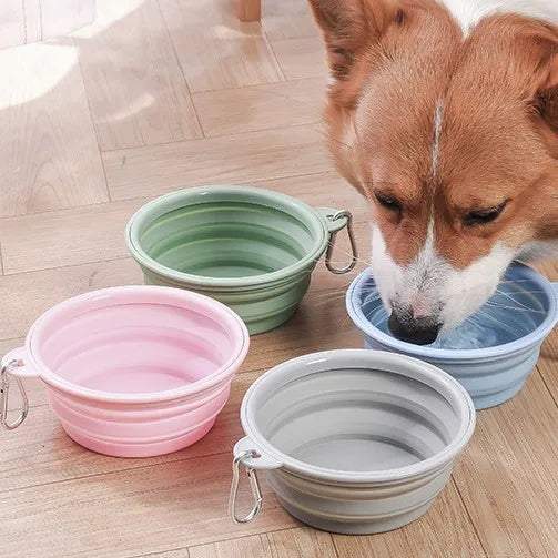 Compact Foldable Silicone Pet Dish Flexible Dog Cat Feeding Bowl Clip Qme