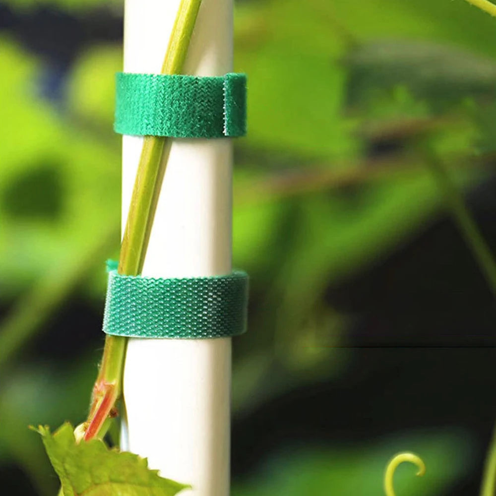 5M/10M Back To Back Velcro Plant Strap Velcro Strap Nylon Self-Adhesive Hook Hair Same Data Cable Tie Qme