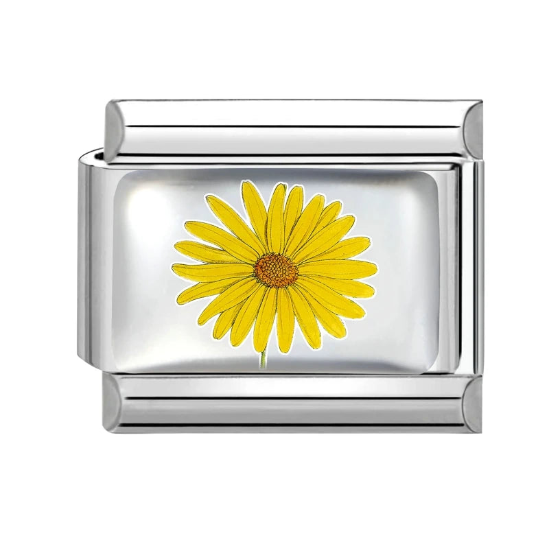 Design Colorful Earth Sun Sunflowers Stainless Steel Link Fit Italian