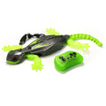 Realistic Biomimetic RC Wall Climbing Lizard Robot Toy, Remote Control Gecko that Climbs Glass & Smooth Walls Home Family Toy Qme C