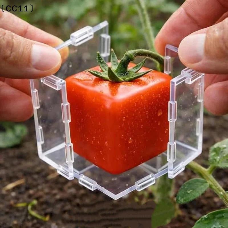 Mini Cube Triangle Fruit Shaping Mold Reusable Transparent Plastic Qme