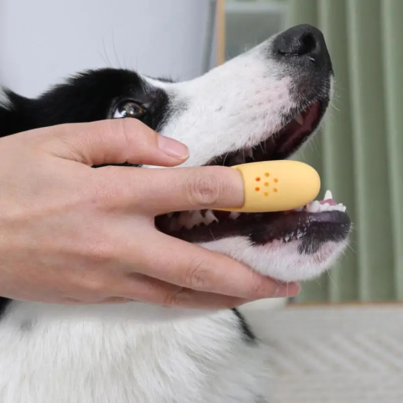 Portable Pet Oral Dental Cleaning Supplies Tools Finger Toothbrush Qme