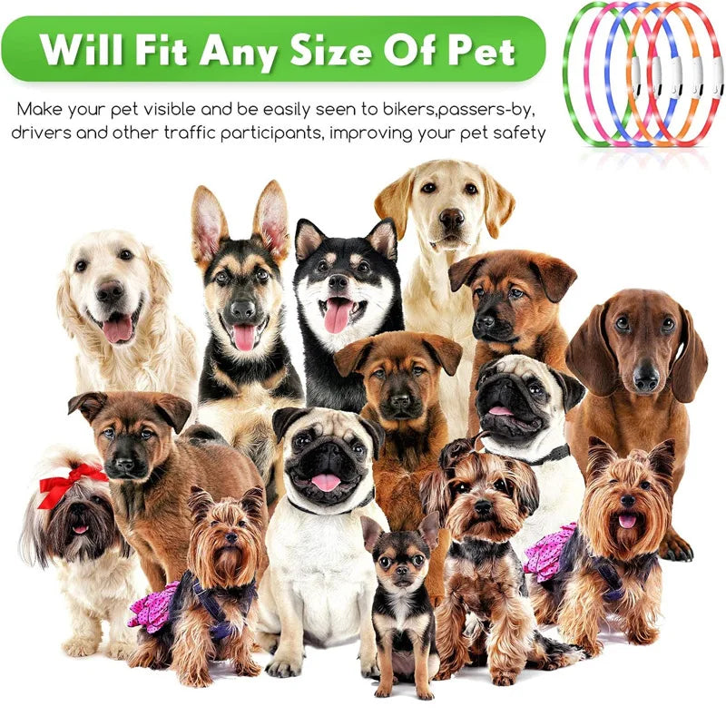 Dog collar LED USB charging light adjustable safety light, pet collar for walking dogs at night, illuminated collar Qme