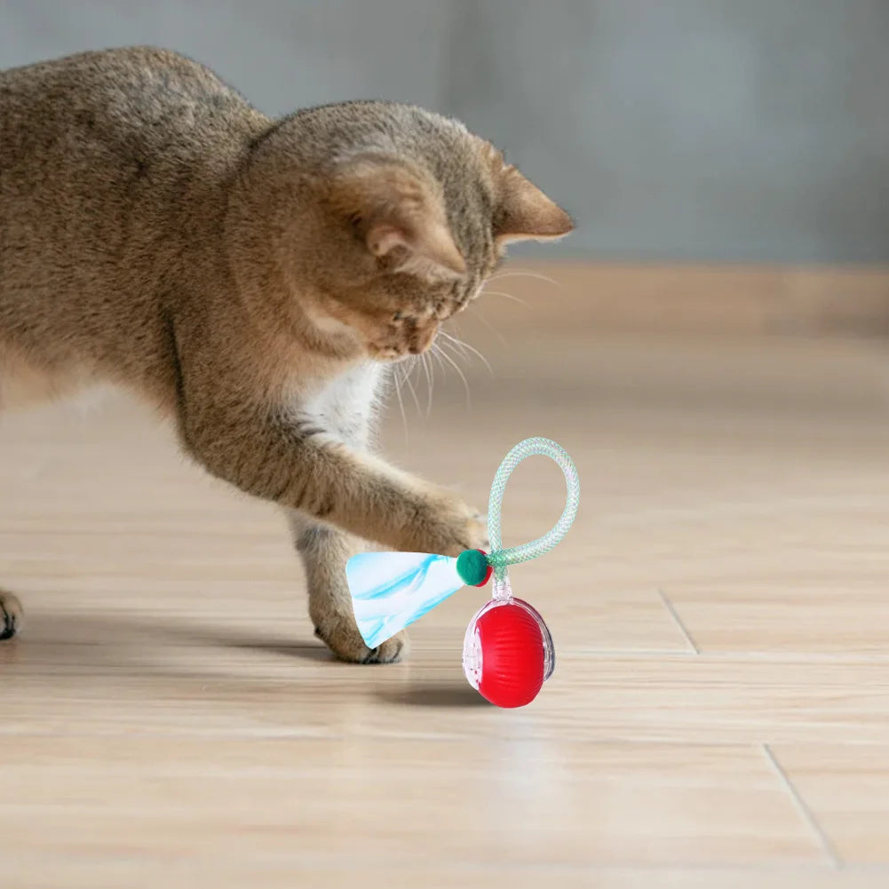 Interactive Cat Plaything Ball Motion Activated Electric Cat Rechargeable for Bored Indoor Adult Cat Pet Supplies Qme