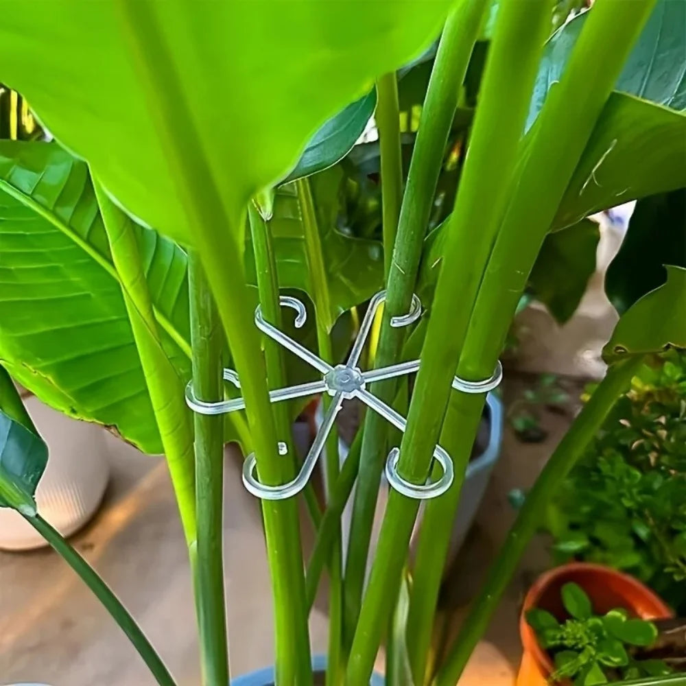 4Pcs Plant Stem Support Clips Turtle Back Bamboo Flower Stem Fixing Rack Climbing Support Holder Hydroponic Tree Branch Fixation Qme