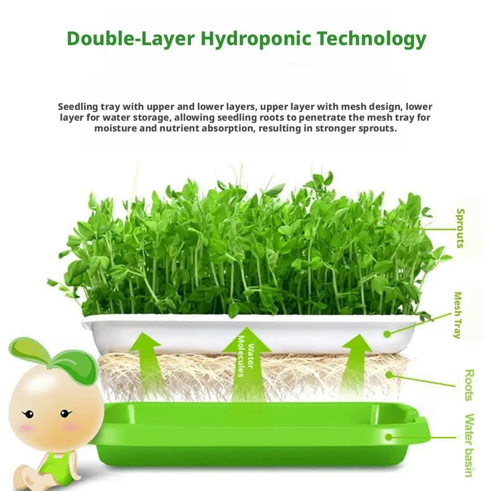 Soilless Planting Seedling Tray Seed Sprouter Germination Growing Qme
