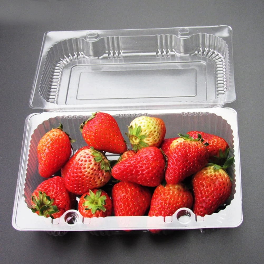 25-Pack Disposable Plastic Hinged Loaf Container Food Fruit Storage Box Disposable Box Disposable Container Food Box Storage Box Qme