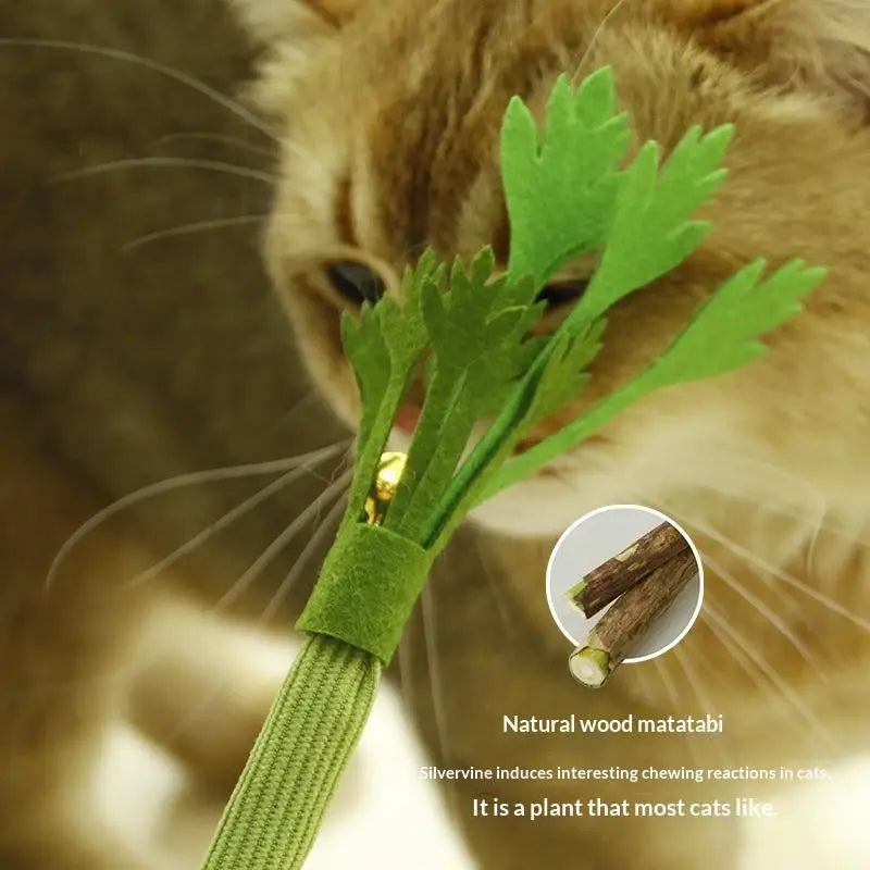 Self Playing Catnip Molar Stick Toys Bite Squeaky Cat Toy Chew Teeth Qme
