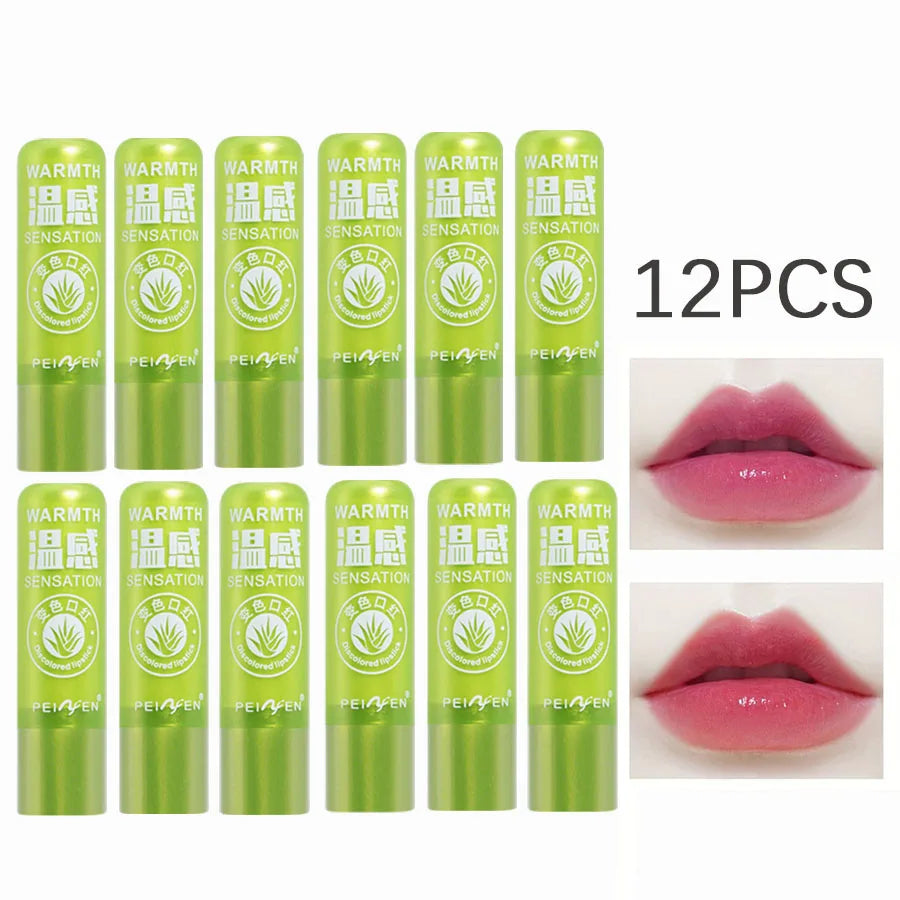 Aloe Moisturizing Lipstick Warm Discoloring Lustrous Takes Care Lip Qme 12PCS