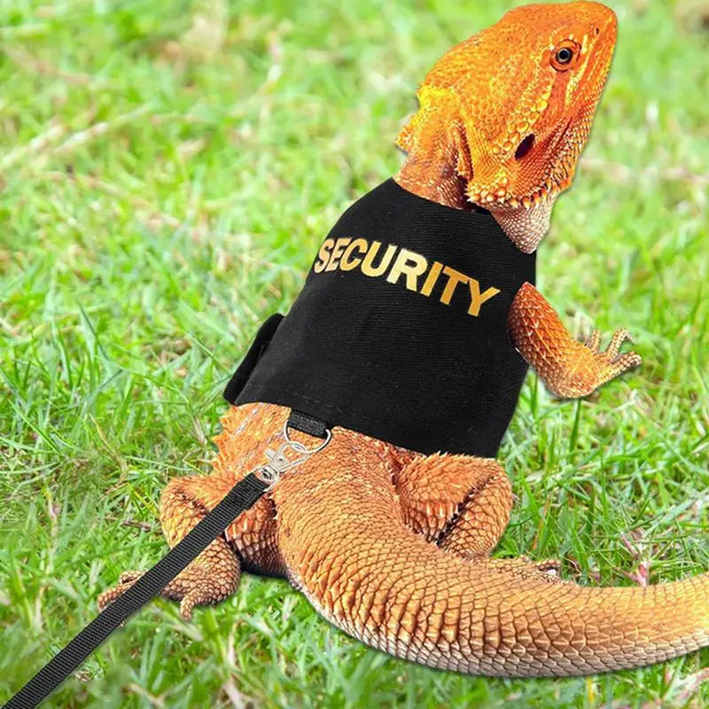 Reptile Lizard Gecko Bearded Dragon Harness and Leash Comfortable Bearded Dragon Clothes for Outdoor Pet Chameleon Supplies Qme