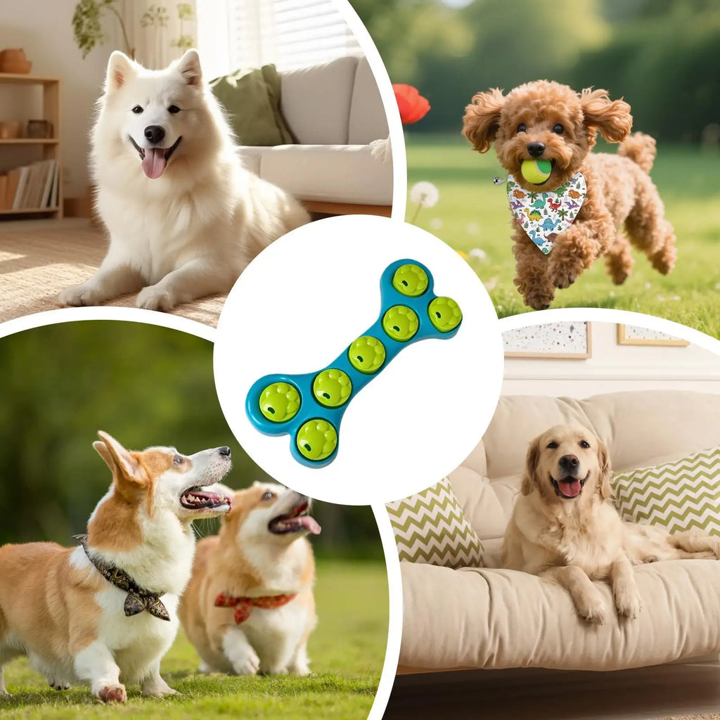 Slow Feeder Dog Bowls Bone Shape Interactive Anti-Choking Funny Cat Food Bowl for Kitten Puppy Daily Feeding Playing Training Qme
