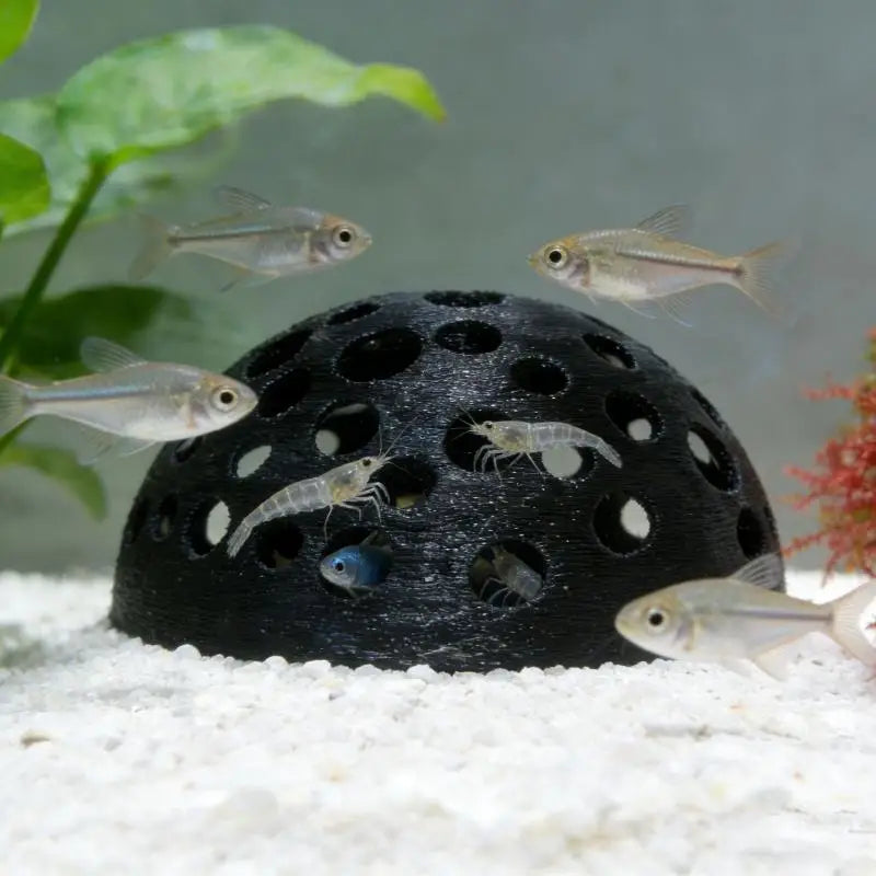 Aquarium Hidden Cave Shelter For Small Fish And Breeding Rest Play Underground Cave Fish Tank Landscape Decoration Qme
