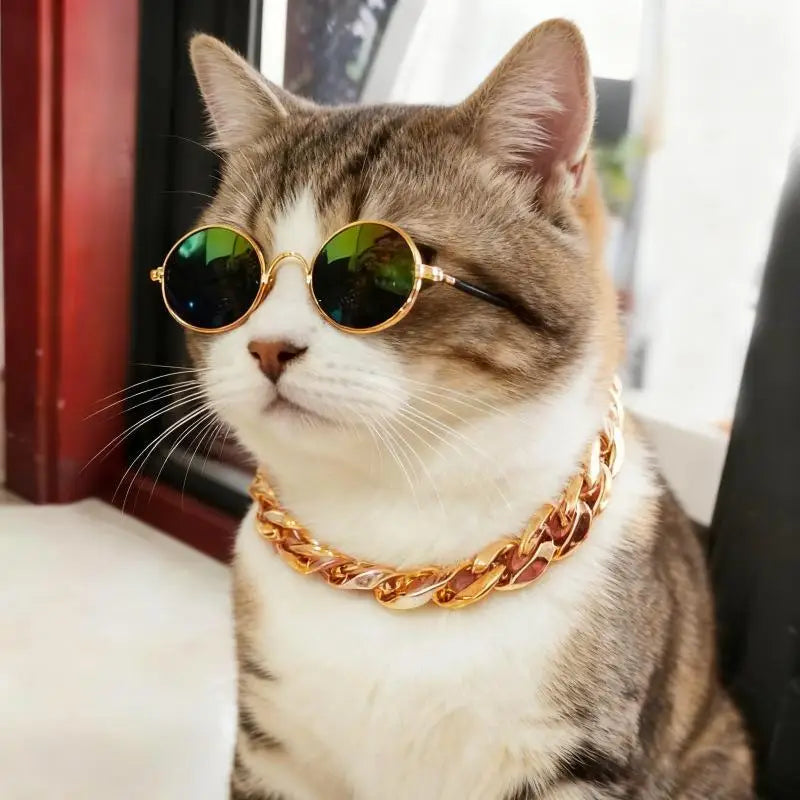 Dog Chain Cuban Collar Walking Metal Chain Collar With Design Secure Buckle Pet Cat Cuban Collar Jewelry Accessories Qme
