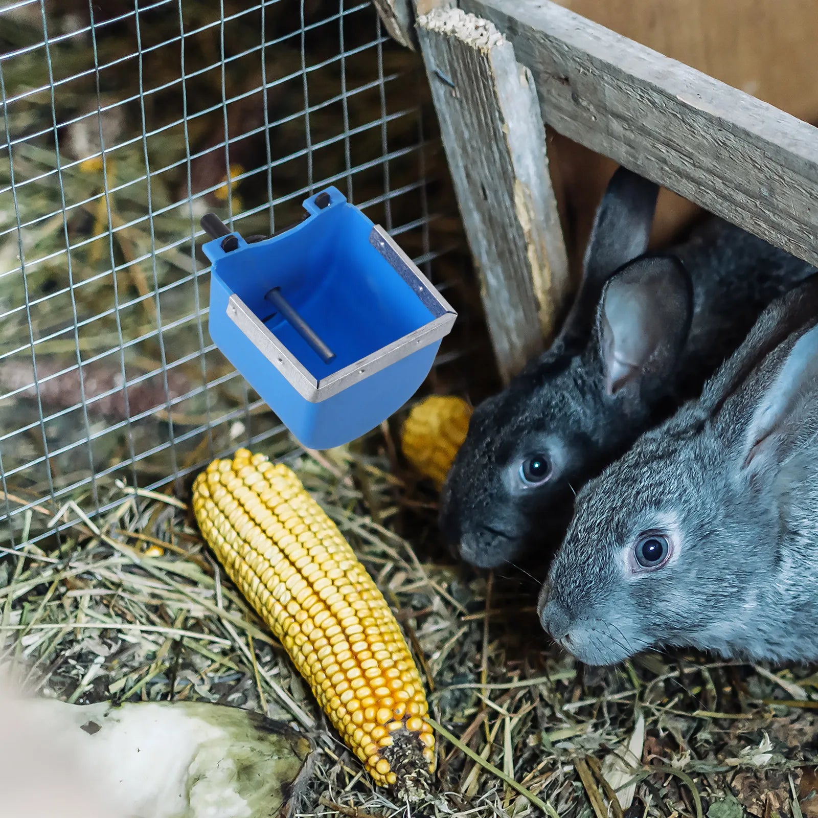 Stainless Steel Rabbit Drinking Bowl Automatic Water Dispenser Pet Cage Feeder for Home Farm Bunny Water Bowl Bunny Food Dishes Qme
