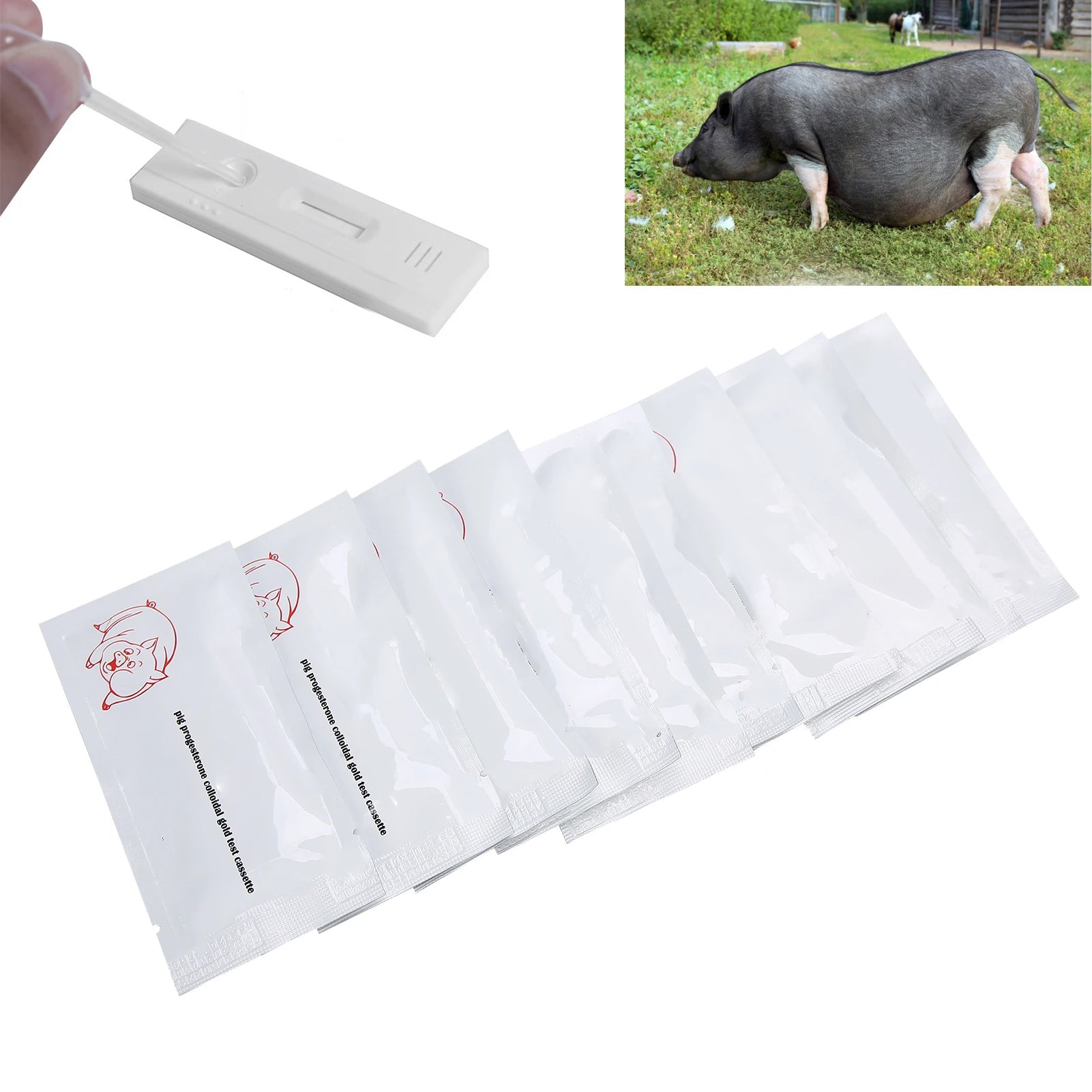10Pcs Pig Pregnancy Test Strip Early Pregnant Detection Testing Tool Livestock Supply Pig Pregnancy Test Pig Pregnant Detection Qme