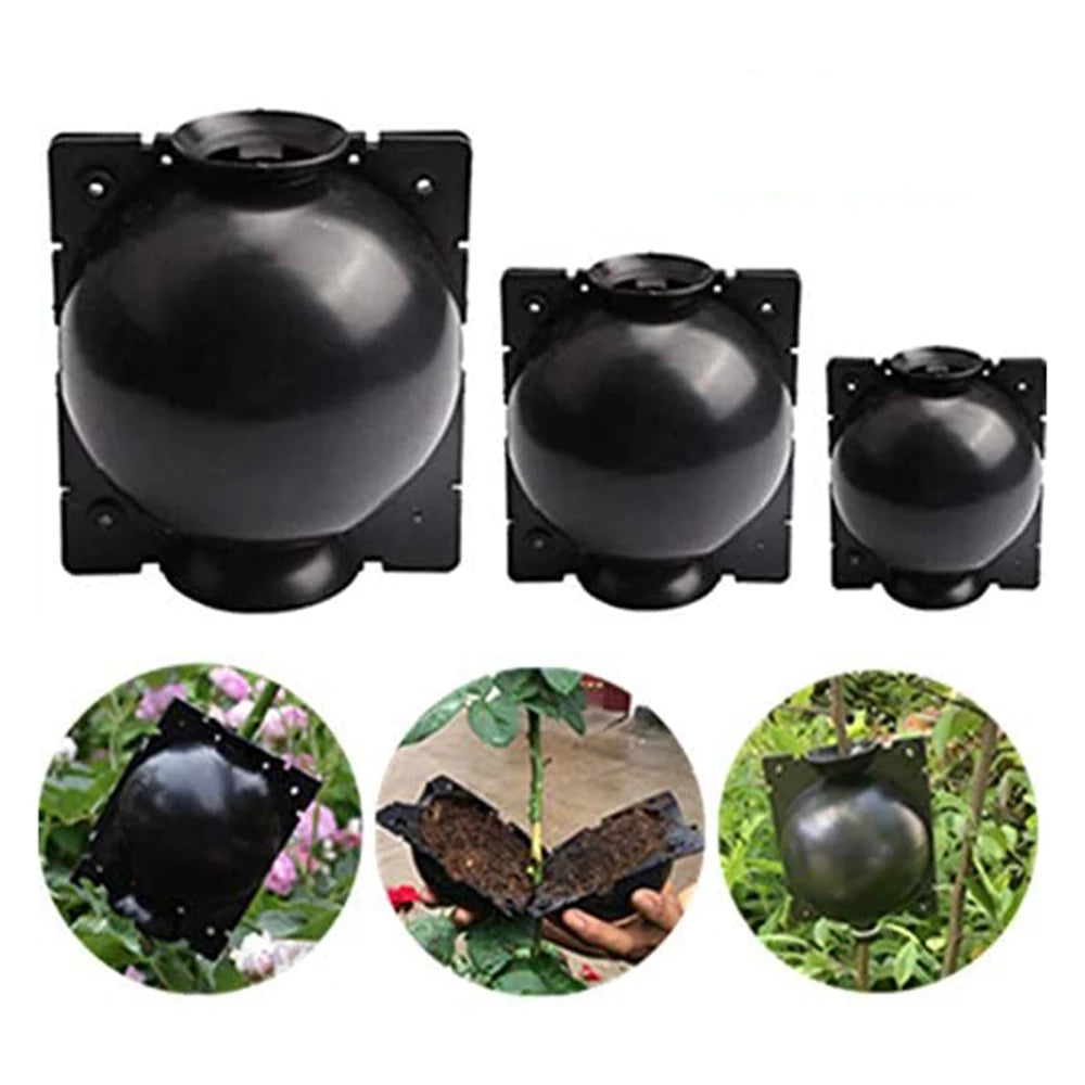 6PCS Plant Rooting Boxes Root Device Pressure Propagation Ball Box For Plants Grafting Growing Plant Care Products Accessories Qme