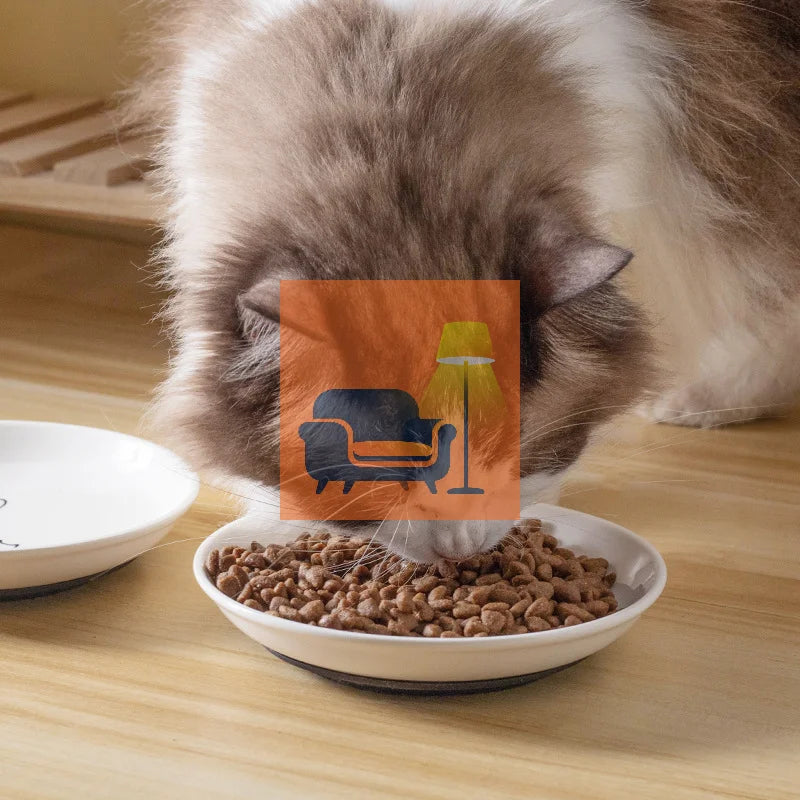 Ceramic Cat Plates With Silicone Anti Slip Pad Pet Cat Snack Bowl Cute Kitten Food Bowl Pet Kitten Water Bowl Pet Supplies Qme