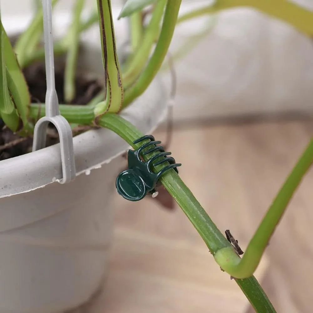Dark Green 6-Claw Plant Clips 10-50Pcs Bundle Branch Climbing Stem Clasp Tied Orchid Flowers Support Clamps Plant Accessories Qme