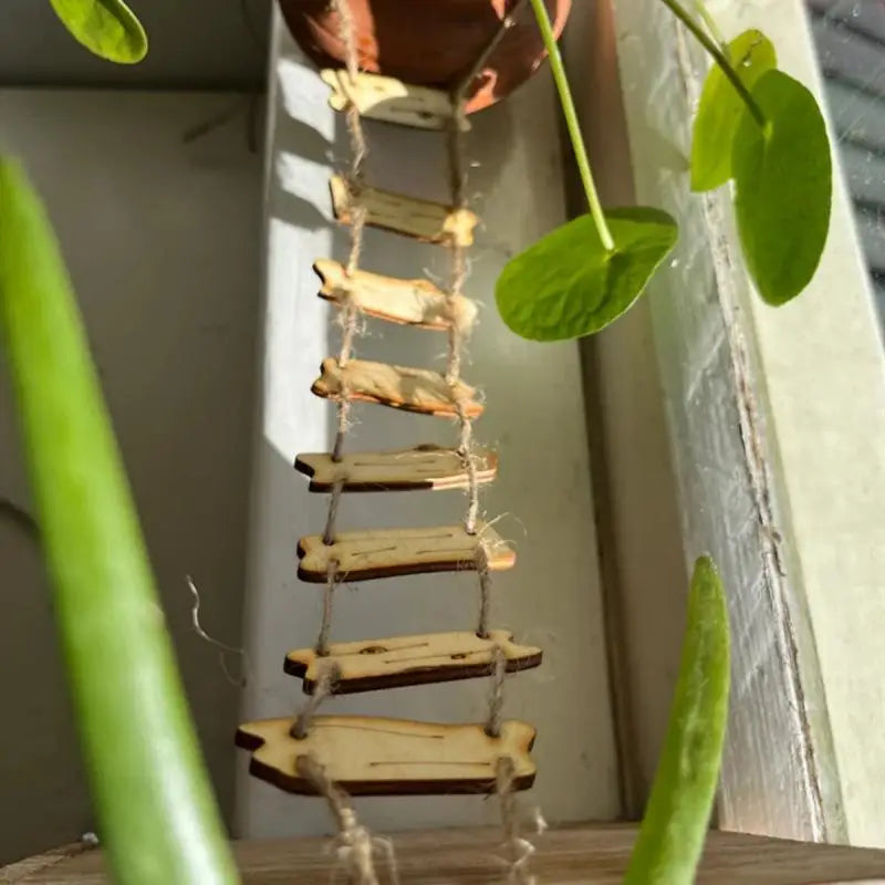 Miniature Fairy Garden Decor Wooden Bridge Rope Ladder Home Courtyard Qme