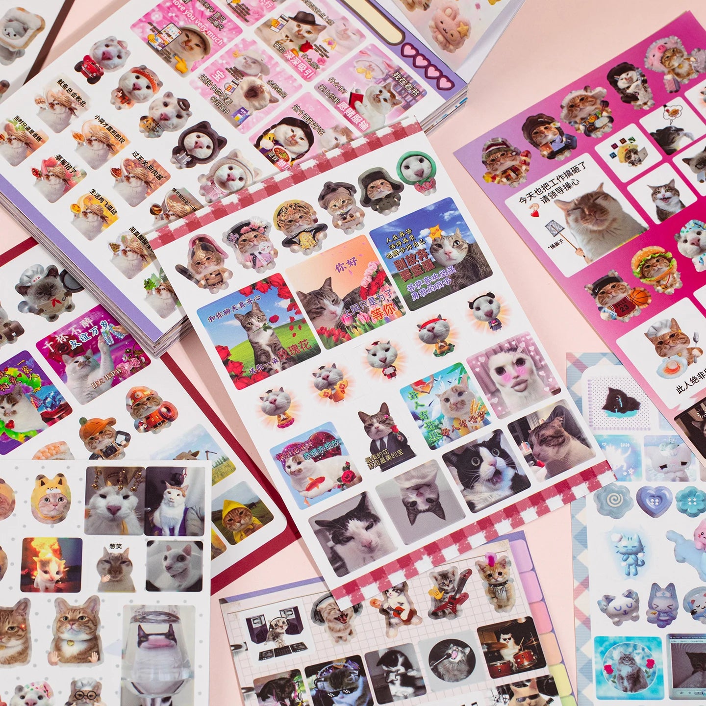 Cat Daily Meme Sticker Book, Funny Kitten Head & Food Themed Stickers for Journal Collage Qme