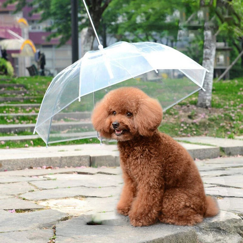 Small Dogs Adjustable Doggy Umbrella Pet Leash Rainproof Snowproof Dog Qme
