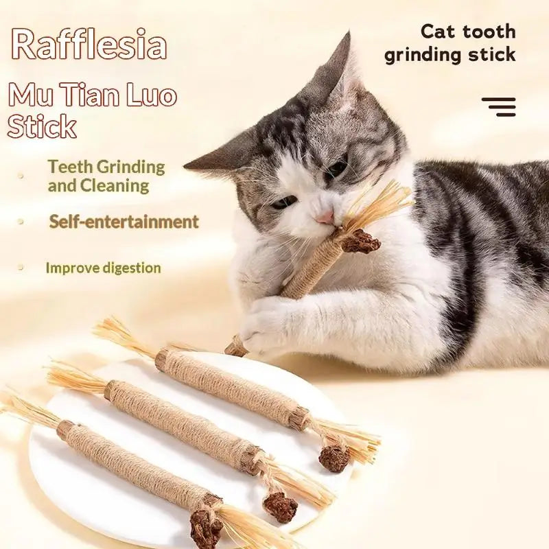 1/2PCS Cat Toys Made Of Wood Sticks Insect Galls Raffia Sisal Rope Teeth Cleaning Toys Cat Teasing Sticks Qme